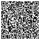 QR code with Blue Water Technology contacts
