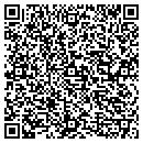 QR code with Carpet Workshop Inc contacts