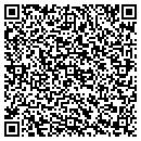 QR code with Premiere Self Storage contacts