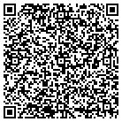 QR code with Blue Water Recruiting contacts