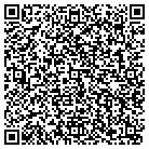 QR code with Blimpie Subs & Salads contacts