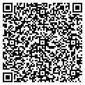 QR code with Modus contacts