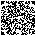 QR code with Shell contacts