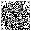 QR code with C K Water Fountains contacts