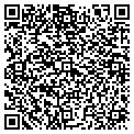 QR code with Amway contacts