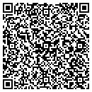 QR code with Consumer Electronics contacts