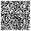 QR code with Bison Homes contacts