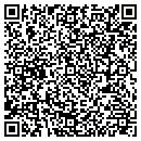 QR code with Public Storage contacts