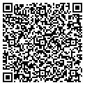 QR code with Lily's contacts