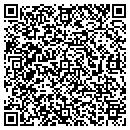 QR code with Cvs Of Dc And Va Inc contacts