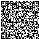 QR code with Puzzletts Inc contacts