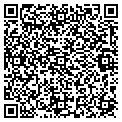 QR code with Amway contacts