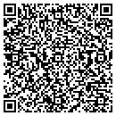 QR code with ProShot Golf contacts