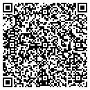 QR code with Cvs Of Dc And Va Inc contacts