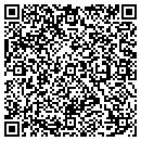 QR code with Public Properties LLC contacts