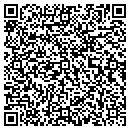 QR code with Professor Toy contacts