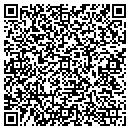 QR code with Pro Electronics contacts