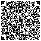 QR code with Professional Audio Labs contacts