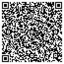 QR code with Public Storage contacts