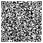 QR code with Badger Billing Service contacts