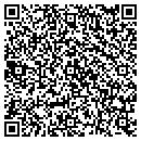 QR code with Public Storage contacts