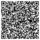 QR code with Cochise Self Storage contacts