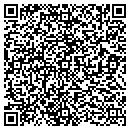 QR code with Carlson Line Painting contacts