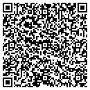QR code with Carter's Custom Paints contacts