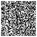 QR code with Pueblo Self Storage contacts