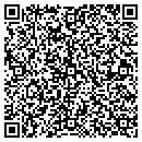 QR code with Precision Diecast Toys contacts