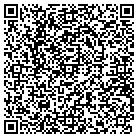 QR code with Brink Electronics Service contacts