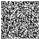 QR code with Precise Payroll LLC contacts