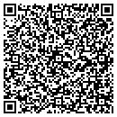 QR code with Chenoa Store-N-Lock contacts