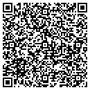 QR code with Carter Electronics contacts