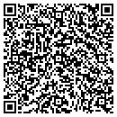 QR code with Public Storage contacts