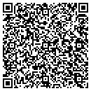 QR code with Consumer Electronics contacts