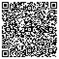 QR code with Amvets contacts