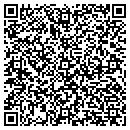 QR code with Pulau Electronics Corp contacts
