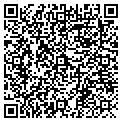 QR code with Dpi Construction contacts
