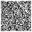 QR code with Premiere Definitions contacts