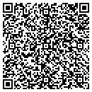 QR code with Cochise Collections contacts