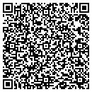 QR code with Pulliam CO contacts