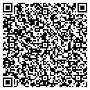 QR code with Cairo Storage Rental contacts