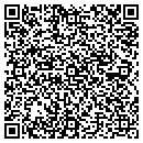 QR code with Puzzling Hobby Toys contacts