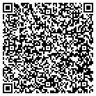 QR code with Blue Chip Solutions contacts
