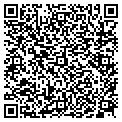 QR code with Bashas' contacts