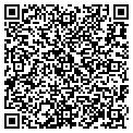 QR code with Aushee contacts