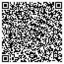 QR code with Public Storage contacts