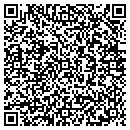 QR code with C V Productions Inc contacts