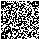 QR code with Carlise Self Storage contacts